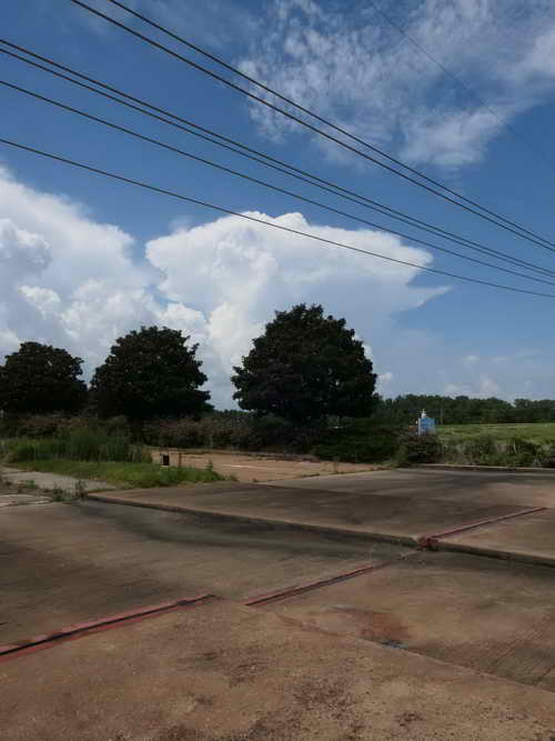 USACAN_2019-07-07 14-42-51_P1040351